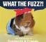 What the Fuzz?!