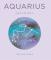 Zodiac Signs: Aquarius