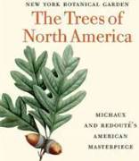 The Trees of North America