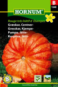 Jättepumpa 'Rouge trés hâtif d´Etampes', frö