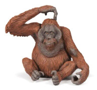 Papo 50120, 3 År, Wild animal kingdom, Brun, PVC