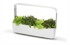 Kitchen Garden TREGREN T12 Vit