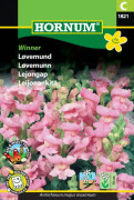Lejongap 'Winner', frö