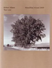 Robert Adams