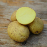 Sättpotatis - Almonda 1kg (Årets Potatis 2021)