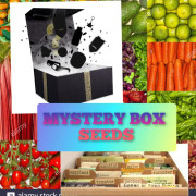 Fröer: STORT PAKET "MYSTERY BOX", massor av olika spännande fröer.