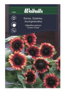 Weibulls Solros cherry rose