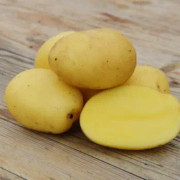 Potatis - Pocahontas 1kg