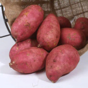 Sötpotatis 'Murasaki' Organic