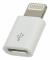 Lightning to Micro USB Adapter
