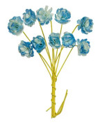 Pappersblommor Chrysanthemum - 10 mm - White Blue - 10 st