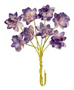 Pappersblommor Chrysanthemum - 20 mm - Violet - 8 st