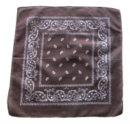 Paisley Bandana flertal färger