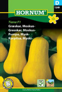 Myskpumpa (butternut) 'Tiana F1', frö