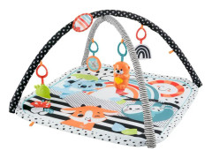 Fisher Price 3-in-1 Music Glow & Grow Gym