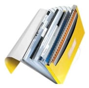 Leitz WOW - Dokumentplånbok - expanderar - 6 utrymmen - 6 delar - för A4 (210 x 297 mm) - kapacitet: 250 ark - tabbad