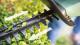 Bosch Home and Garden EASYHEDGECUT 18-45 Häcksax inkl. batteri, inklusive laddningsstation 18 V Li-Ion