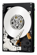 MicroStorage 160GB 5400rpm 160GB intern hårddisk (IB160001I503)