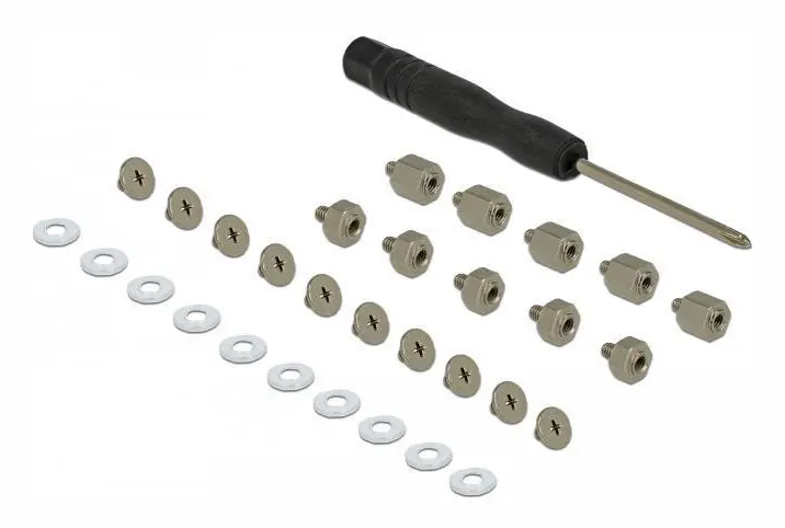 DeLOCK - Monteringssats för hårddiskar (innehåller 10 x M.2-skruvar + 10 distansbrickor + 10 x låsbrickor + 1x skruvmejsel)