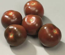 Tomat 'Noire de Crimee' 10,5cm kruka