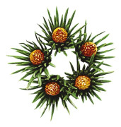 Ljusmanschett 7-Pack Star Trading Accessoar 052-80