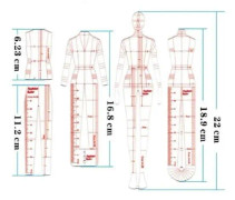 Kvinnor mode figur ritning mall linjal