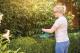 Bosch Home and Garden EASYHEDGECUT 18-45 Häcksax inkl. batteri, inklusive laddningsstation 18 V Li-Ion