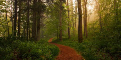The Red Path. Poster