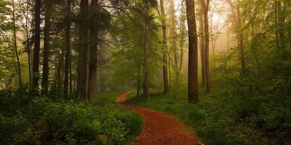 The Red Path. Poster