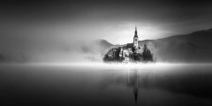 Foggy Morning On The Lake Poster