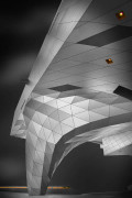 Musée Des Confluences Poster