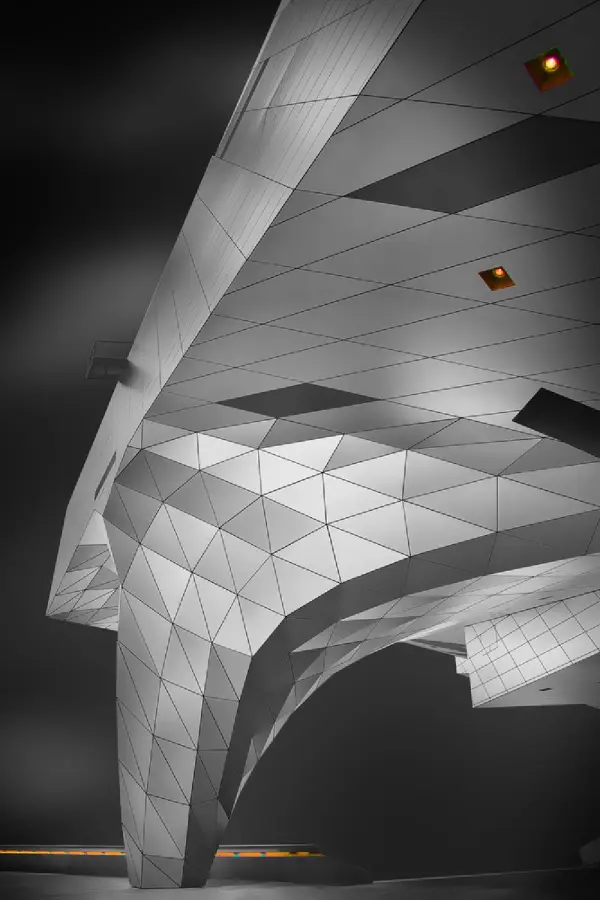 Musée Des Confluences Poster