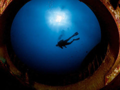 Diver Poster