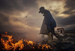 Scavengers Poster