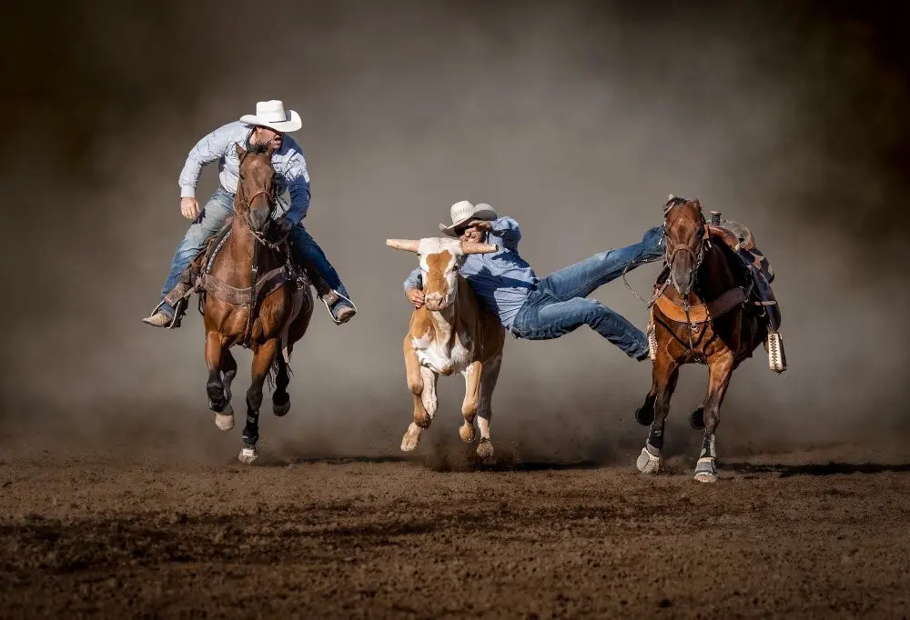 Chasing poster