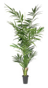 Konstgjord Kentia Palm 210 cm 2-pack