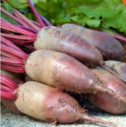 Last Chance beetroot-opolski-long-20-30-seeds