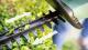 Bosch Home and Garden EASYHEDGECUT 18-45 Häcksax inkl. batteri, inklusive laddningsstation 18 V Li-Ion