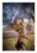 UC1423 LOTR SWORD OF EOWYN