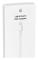  Apple Lightning Adapter - VGA