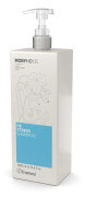 Morphosis Destress Destress Shampoo