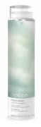 Option Fresh Rain Purifying Shampoo