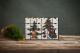 Adventskalender Star Trading Forest Friends Kalender