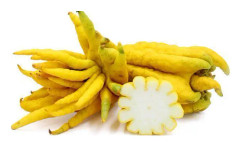 2023 New Fröer: Bonsai Buddha´s Hand (Fingered Finger Citron)
