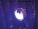 Intex  LED Spa Light
