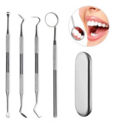 Professionell tandhygien kit – 4 delar rostfritt stål Silver