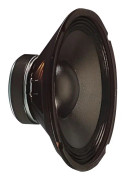 Fonestar högtalare 20 cm i diameter, 100 W RMS, 8 Ohm, känslighet 91 dB, 20 Oz magnet.