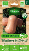 Vilmorin organisk butternut butternut squash