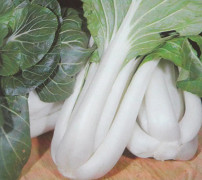 Pak choi vit 200 frö