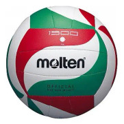 Molten V4M1500, Grön, Röd, Vit, Läder, Syntetisk, 18-panel ball, Inomhus & utomhus, Mönstrad, Unisex